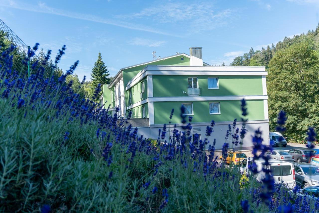 Wellness Hotel Green Paradise Pirkenhammer Esterno foto